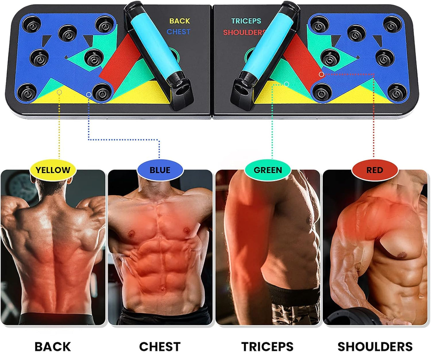OFERTA! Tabla para pechadas, Bandas de resistencia y GRATIS: Licuadora portátil